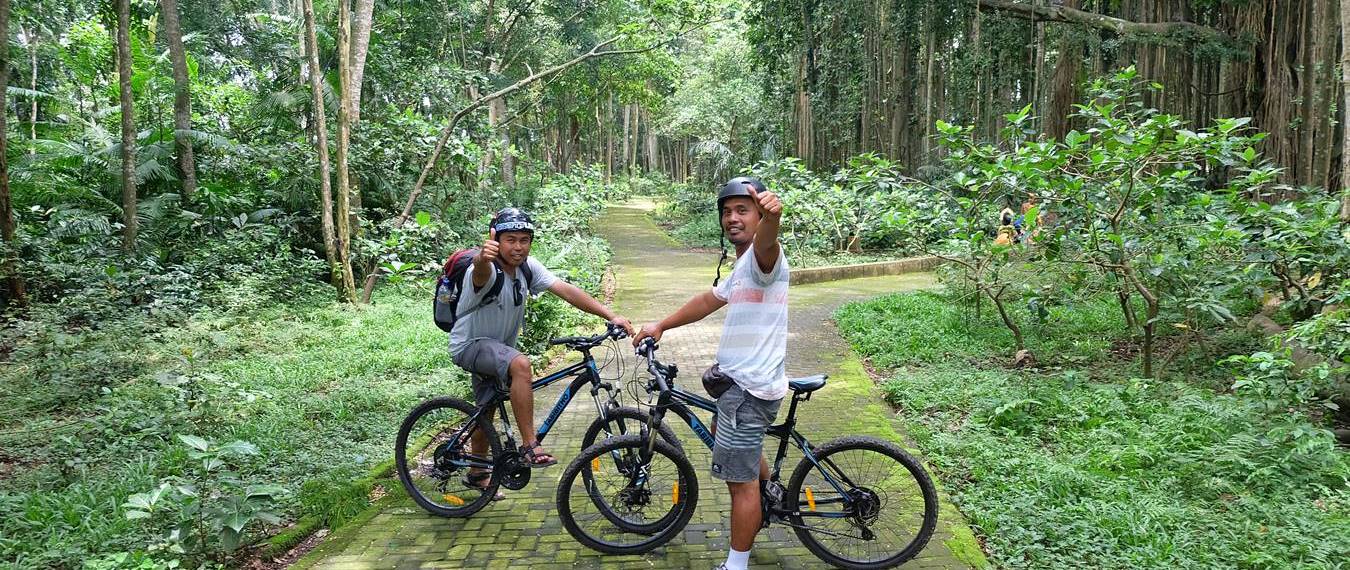 Paket Wisata Bersepeda di Bali Nuansa Alam dan Budaya